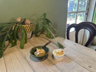 【兵庫】PICCOLOTTO & GREEN HOUSE Café