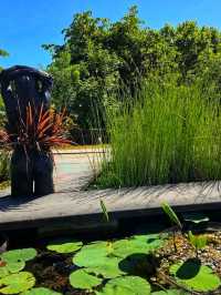 🌿 Jardin Botanique de Bordeaux – A Living Museum of Plants 🌸