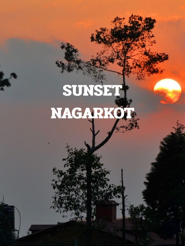 NAGARKOT TRIP