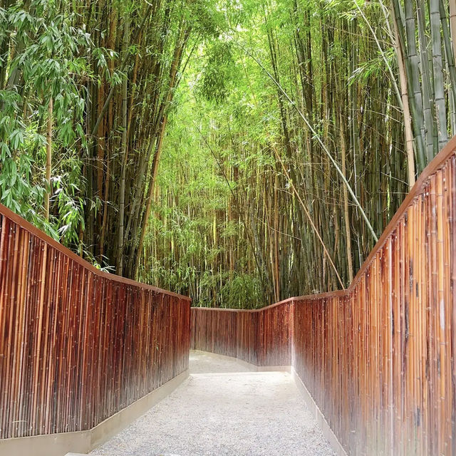 Hamilton Gardens