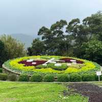 🌸⛰️ Yangming Park – The Heart of Yangmingshan 🌳✨