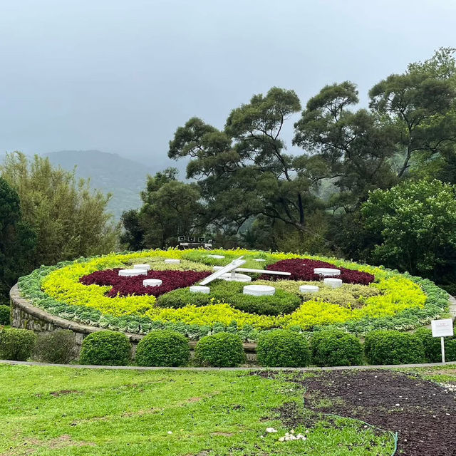 🌸⛰️ Yangming Park – The Heart of Yangmingshan 🌳✨