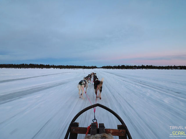 🇸🇪 스웨덴 키루나 허스키 썰매 투어 가이드 🐺❄️