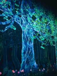 TEAMLAB PLANETS IN TOKYO.