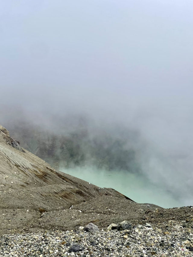 遠足必去濕地秘境🌿｜阿蘇火山地區