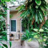 🌊🌴 On the Hill Karon · The Perfect Ocean View Escape