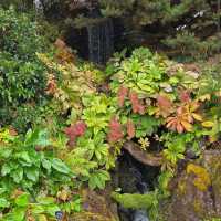 Royal Botanic Garden Edinburgh