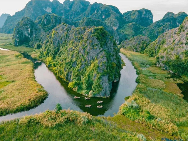 🌿 Van Long Wetland Nature Reserve – The “Hidden Bay” of Ninh Binh 🌿