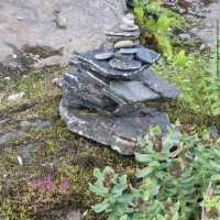 Arctic–Alpine Botanic Garden