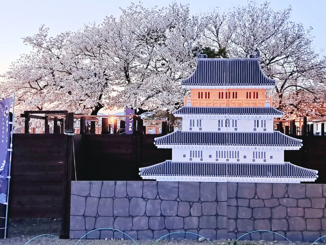 The Castle in the Mist: My Return to Tsuyama Castle