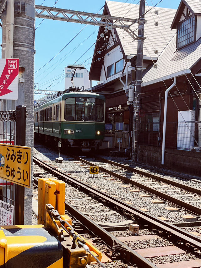 🚋 Kamakura's Scenic Train & Famous Enoden Exits: A Journey Through Time and Sea! 🌊
