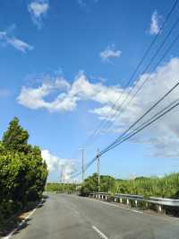 🇯🇵🏝️宮古島岸上一日遊攻略🚢