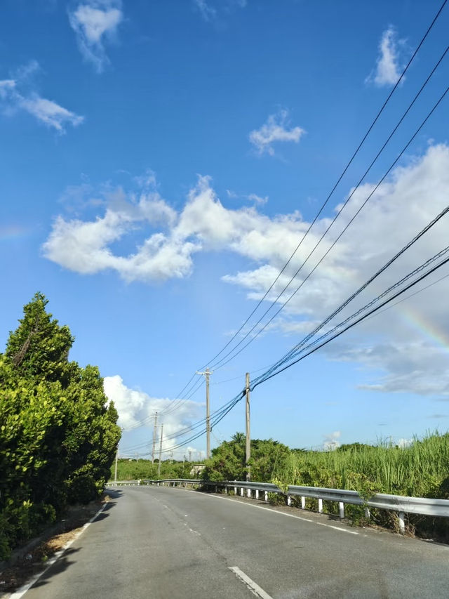 🇯🇵🏝️宮古島岸上一日遊攻略🚢 🇯🇵🏝️宮古島岸上一日遊攻略🚢