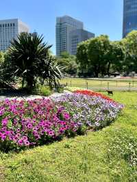 🌸 Bloom & Beauty in Hibiya Park