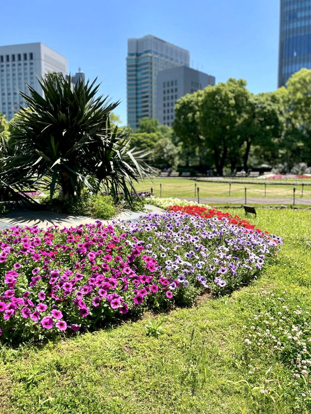 🌸 Bloom & Beauty in Hibiya Park