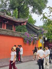 Temple Calm Chengdu🌿