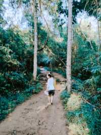 @อุดรธานี🏕ภูฝอยลม น้ำตกธารงาม