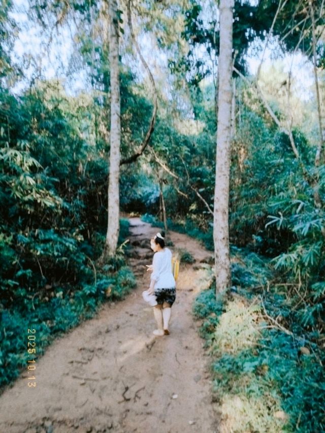 @อุดรธานี🏕ภูฝอยลม น้ำตกธารงาม