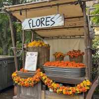 【千葉/舞浜🇯🇵】まるでメキシコ🇲🇽東京ディズニーシー