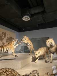 Natural History Museum ตื่นตาตื่นใจกับโลกดึกดำบรรพ์