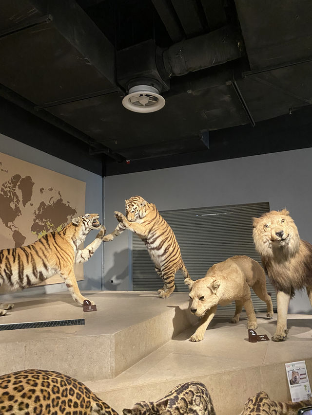 Natural History Museum ตื่นตาตื่นใจกับโลกดึกดำบรรพ์