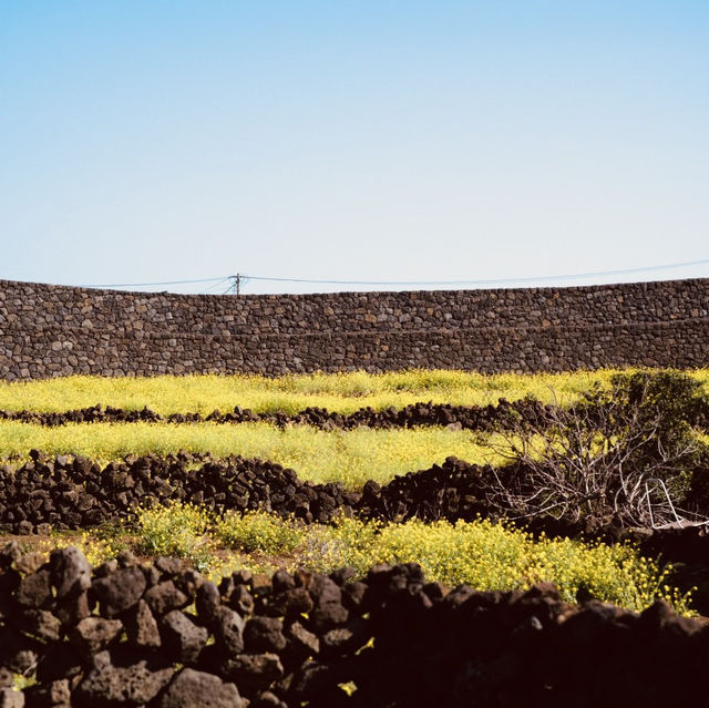 A Unique Architectural Study in Basalt