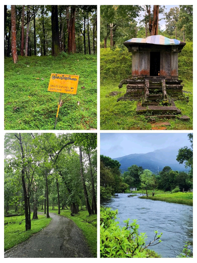 #헬로할로윈
🌿 와야나드 – 케랄라의 푸른 심장! 🌳✨
서고츠 산맥에 자리 잡은 와야나드는 울창한 숲, 완만한 언덕, 그리고 안개 낀 풍경이 어우러진 천국입니다 ⛰️💚. 에다칼 동굴, 바나수라 사가르 댐, 그리고 민무티와 수치파라 같은 고요한 폭포를 탐험해 보세요 🌊. 트레킹, 야생 동물 관찰, 그리고 자연과의 교감을 위한 완벽한 장소입니다 🌸🐘.

#와야나드 #케랄라자연 #힐스테이션탈출