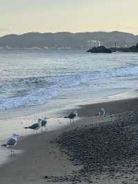 ๐ ํ๊ฐ์์ ๊ณ ์ฆ๋ํ ๋ฐ๋ค ๋ง์ โ ๊ฒฝ์ฃผ ์๋จ๋ฉด ์ถ์์ฌํ ๊ฐ์ด๋