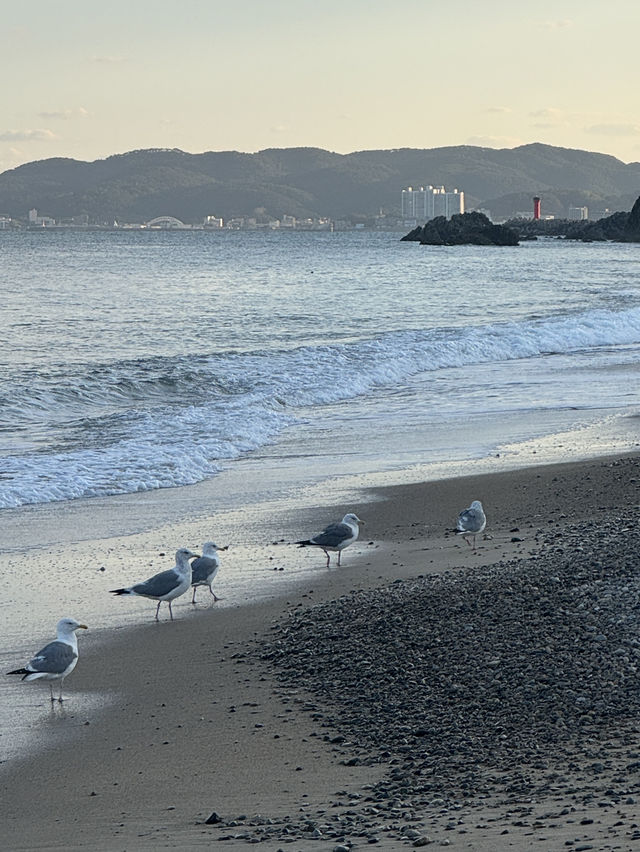 ๐ ํ๊ฐ์์ ๊ณ ์ฆ๋ํ ๋ฐ๋ค ๋ง์ โ ๊ฒฝ์ฃผ ์๋จ๋ฉด ์ถ์์ฌํ ๊ฐ์ด๋ ๐ ํ๊ฐ์์ ๊ณ ์ฆ๋ํ ๋ฐ๋ค ๋ง์ โ ๊ฒฝ์ฃผ ์๋จ๋ฉด ์ถ์์ฌํ ๊ฐ์ด๋