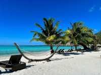 Tropical Bliss and Adventure on Moorea Island