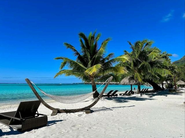 Tropical Bliss and Adventure on Moorea Island