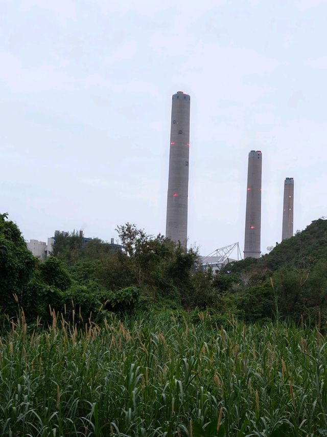 流動畫册下之【南丫島】份外浪漫又具詩意! 流動畫册下之【南丫島】份外浪漫又具詩意!