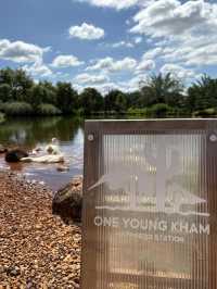 ไร่วันยังขำ คาเฟ่ โอพันเทีย และสวนสน