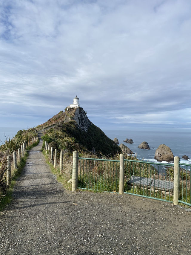잠시 멈춰, 나를 찾아가는 더나든 여행 잠시 멈춰, 나를 찾아가는 더나든 여행