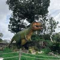 Auckland Zoo: ครึ่งวันที่เต็มไปด้วยความสนุกสนาน