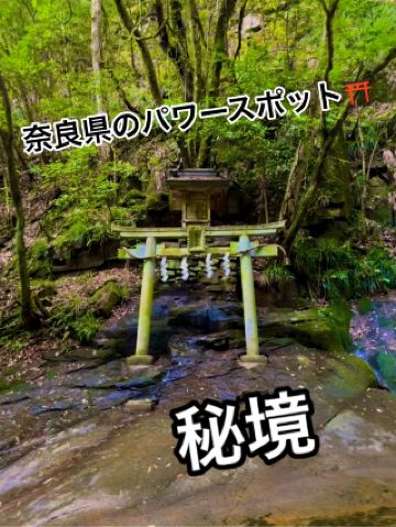 🌿✨奈良宇多隱藏的能量點