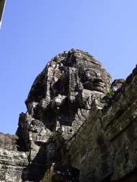 Nature Meets History🌿