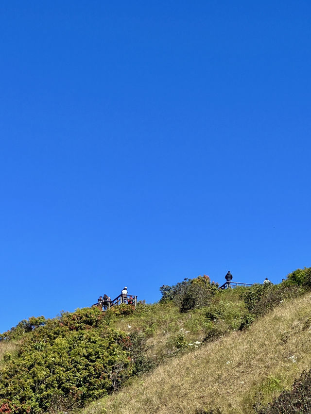 치앙마이 근교 트레킹 코스를 소개합니다 / 도이인타논 국립공원