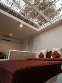 " ป่าเหนือหมอก ม่อนเงาะ Pa Nua Mok " 