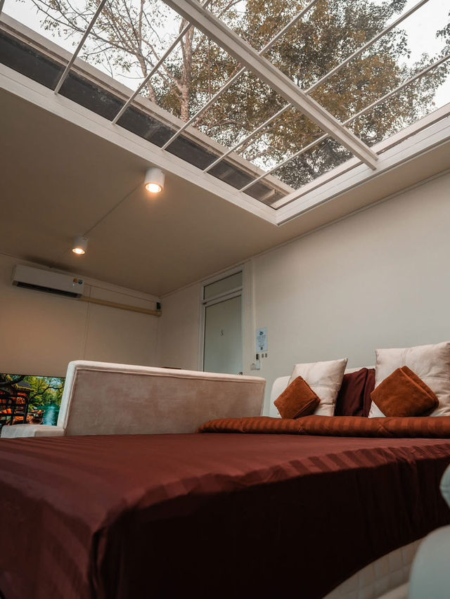 " ป่าเหนือหมอก ม่อนเงาะ Pa Nua Mok " 