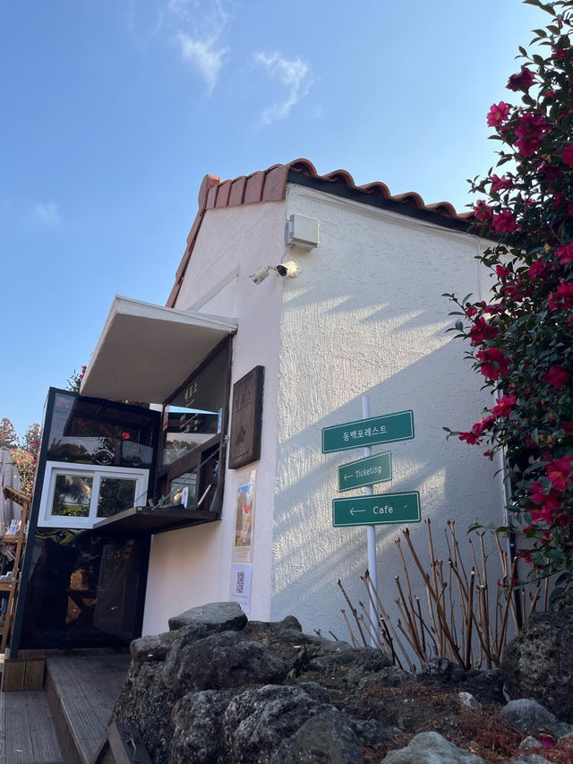 ๐๐ป๐๐ป์ ์ฃผ๋ ๋๋ฐฑ๊ฝ ๋๋ฐฑํฌ๋ ์คํธ๐ ๐๐ป๐๐ป์ ์ฃผ๋ ๋๋ฐฑ๊ฝ ๋๋ฐฑํฌ๋ ์คํธ๐