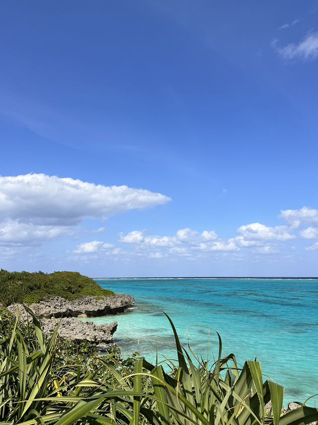 평화로운 남쪽의 작은 섬 요론