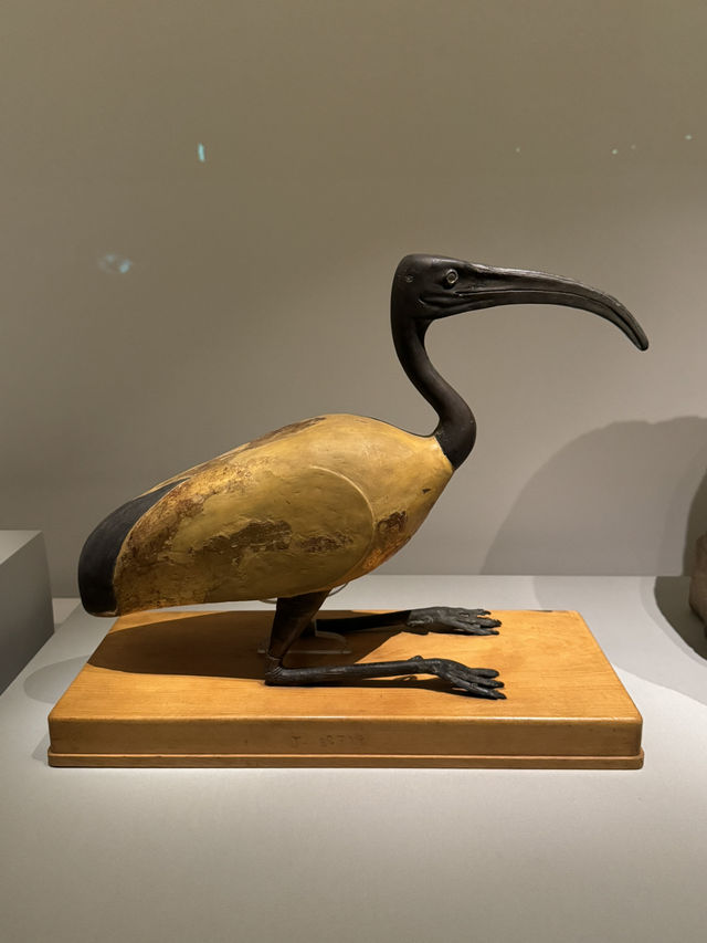 同大英博物館截然不同：香港故宮古埃及文物大展！