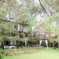 Nature-Lover’s Dream Stay: Cozy Hotel Review 🏡🌲