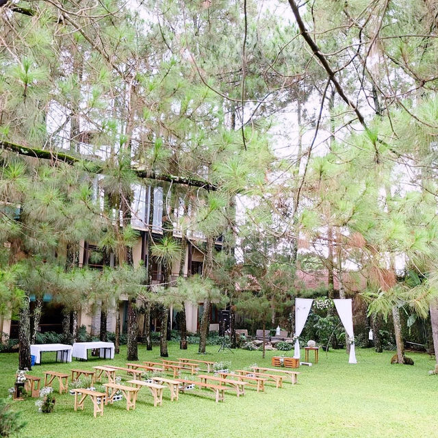 Nature-Lover’s Dream Stay: Cozy Hotel Review 🏡🌲 Nature-Lover’s Dream Stay: Cozy Hotel Review 🏡🌲