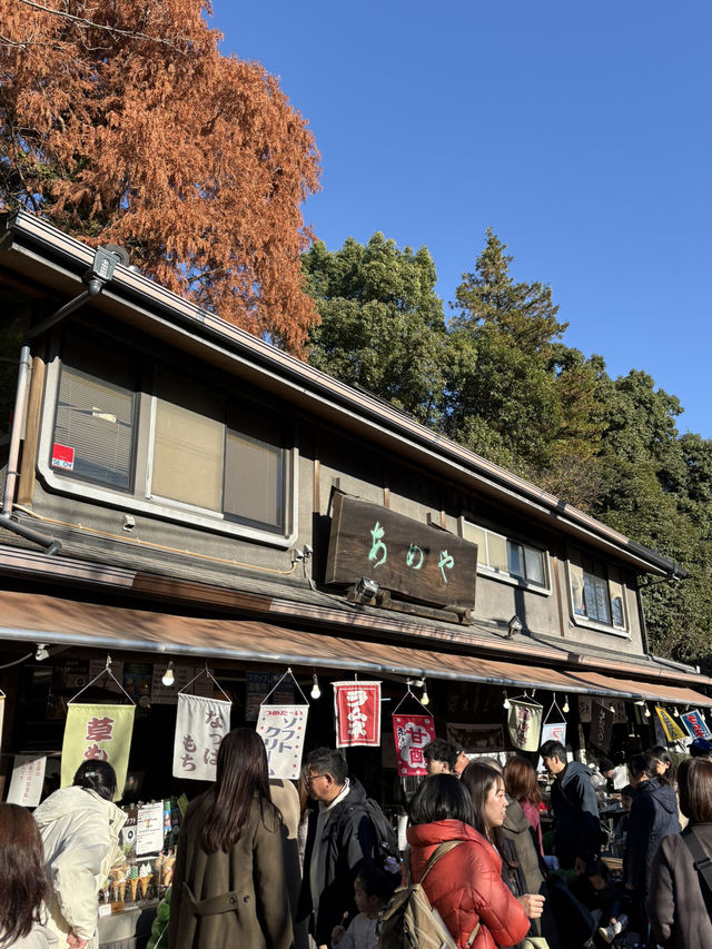 紅葉に包まれる癒しの古刹。深大寺で過ごす穏やかな時間 紅葉に包まれる癒しの古刹。深大寺で過ごす穏やかな時間