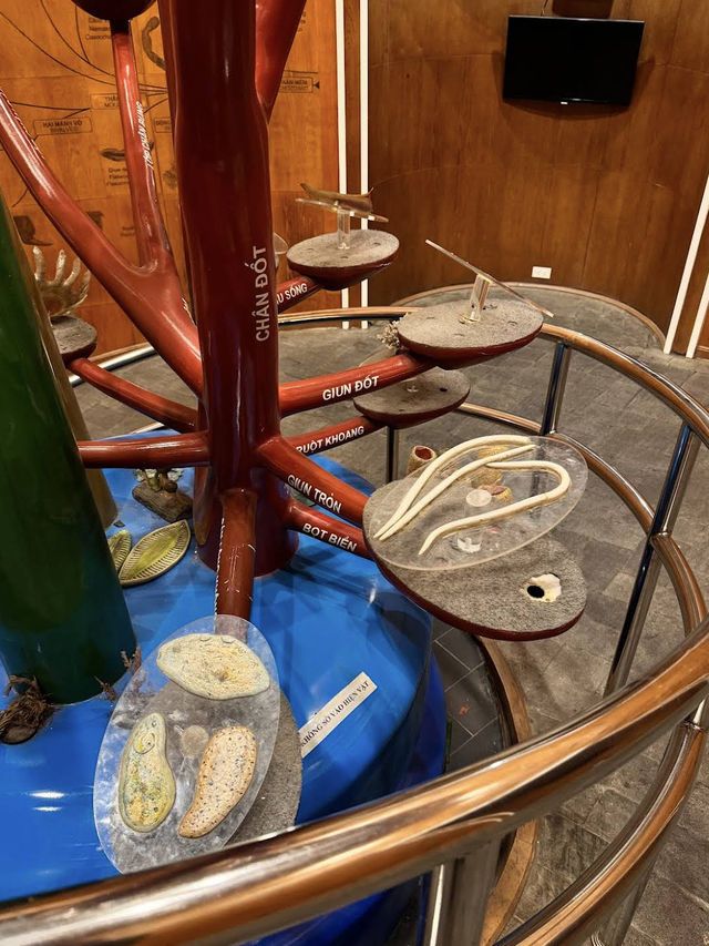 🌿 Vietnam National Museum of Nature — Exploring Vietnam’s Natural Wonders 🌿 Vietnam National Museum of Nature — Exploring Vietnam’s Natural Wonders