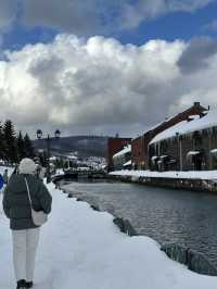 ❄️ Hokkaido Winter Wonder: Sapporo, Asahikawa & Otaru (7 Days)