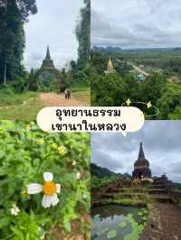 🌴 แจกพิกัดที่เที่ยว จ.สุราษฎร์ธานี