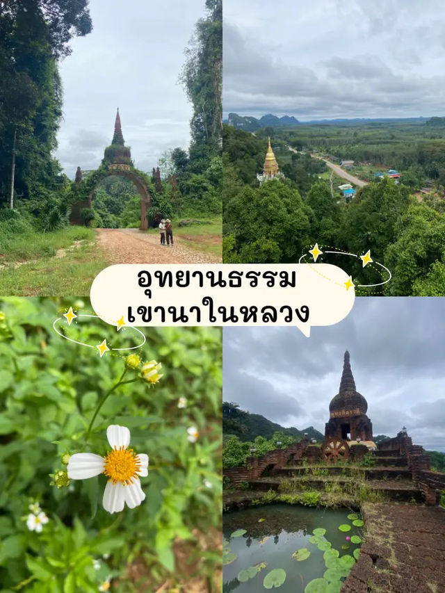 🌴 แจกพิกัดที่เที่ยว จ.สุราษฎร์ธานี 🌴 แจกพิกัดที่เที่ยว จ.สุราษฎร์ธานี